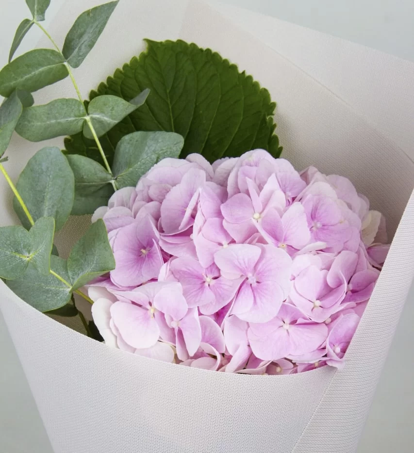 Букет квітів “Гортензія рожева” Букет квітів “Гортензія рожева”