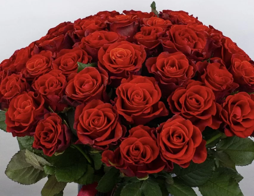 Троянди поштучно Троянди поштучно